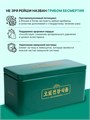 Чай Пуллочхо с Рейши зелёный 019bdab5-2291-715f-9e17-6f8bd2fae971